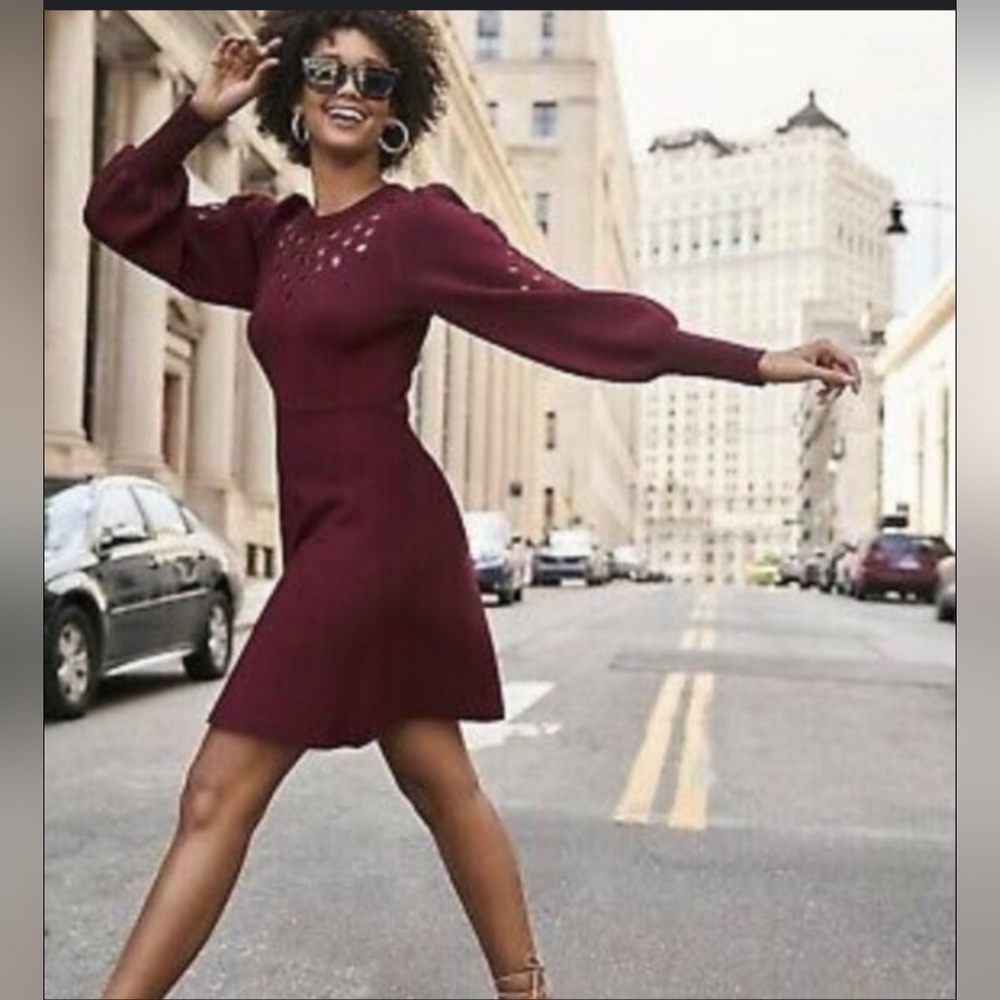 Express Burgundy Mini Dress